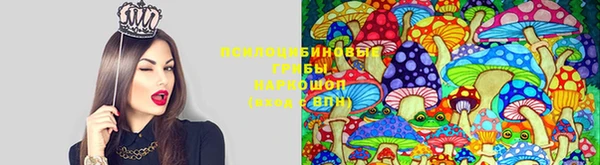 скорость mdpv Медногорск