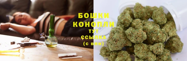 дживик Майский