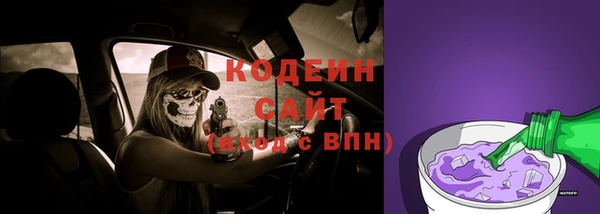 дживик Майский