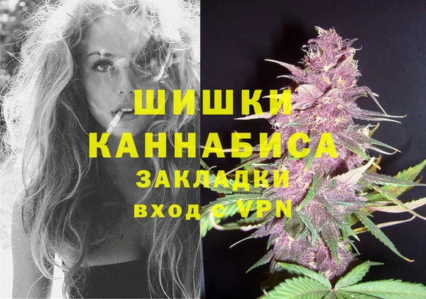 дживик Майский