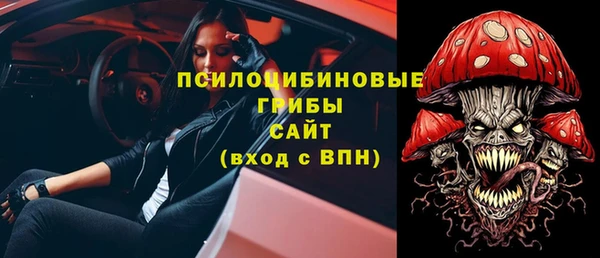 дживик Майский