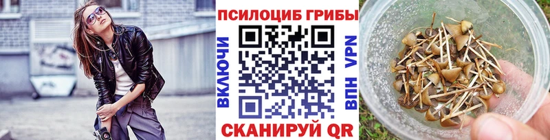 хочу наркоту  Приволжский  Псилоцибиновые грибы GOLDEN TEACHER 